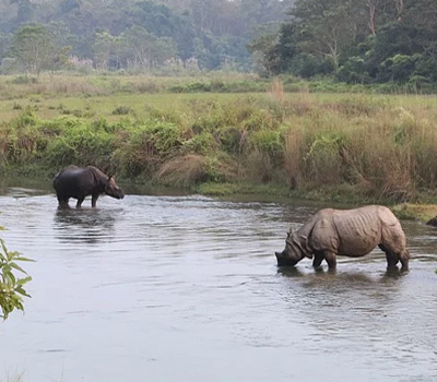 Bardia National Park Tour