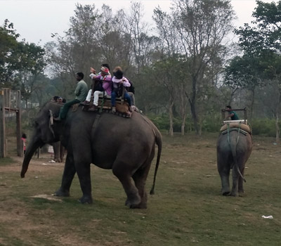 Chitwan National Park Tour
