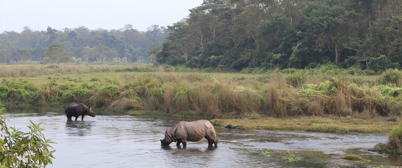Chitwan Tour