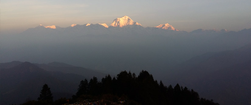 Ghorepani Trek